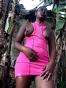 Hash beb online show from December 2024 01:28:01 PM