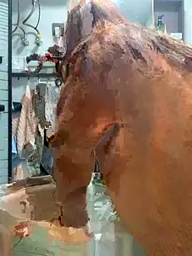 Aimeil online show from November 2025 03:27:01 PM