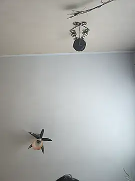 Snapshot of vulpe8400 chatting on April 2026 08:04:02 AM vulpe8400 online show from April 2026 08:04:02 AM