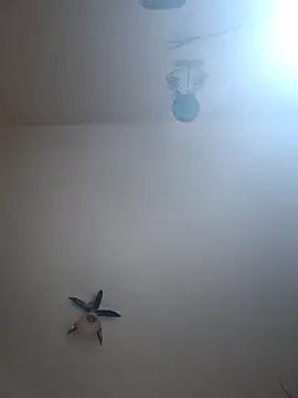 Snapshot of vulpe8400 chatting on April 2026 10:31:02 PM vulpe8400 online show from April 2026 10:31:02 PM