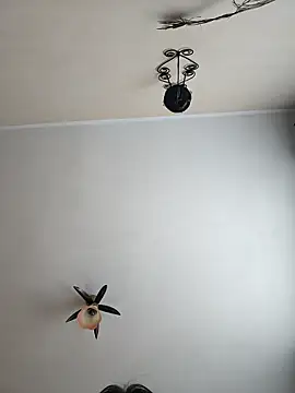 Snapshot of vulpe8400 chatting on April 2026 09:02:01 AM vulpe8400 online show from April 2026 09:02:01 AM