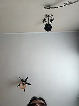 Snapshot of vulpe8400 chatting on April 2026 11:09:01 AM vulpe8400 online show from April 2026 11:09:01 AM