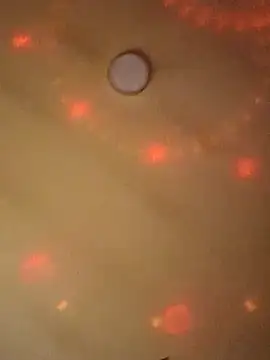 Ely Elenita online show from March 2025 09:27:02 PM