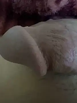 Snapshot of hamed-697 chatting on December 2024 07:12:01 PM hamed-697 online show from December 2024 07:12:01 PM