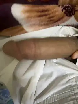 Snapshot of hamed-697 chatting on December 2024 08:25:02 PM hamed-697 online show from December 2024 08:25:02 PM