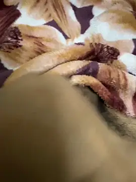 Snapshot of hamed-697 chatting on December 2024 08:48:01 PM hamed-697 online show from December 2024 08:48:01 PM