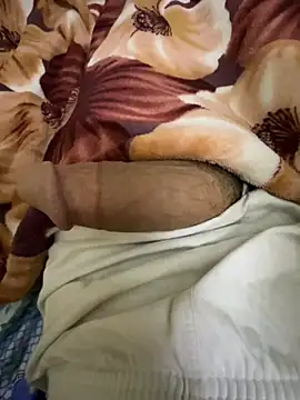 Snapshot of hamed-697 chatting on December 2024 08:51:02 AM hamed-697 online show from December 2024 08:51:02 AM