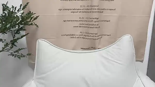 Snapshot of Arrebo1 chatting on December 2024 02:37:01 PM Arrebo1 online show from December 2024 02:37:01 PM