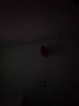 Carolinen online show from February 2025 09:50:01 PM