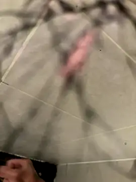 Snapshot of lescro95_ chatting on December 2025 05:41:02 PM lescro95 online show from December 2025 05:41:02 PM