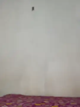 Nicole cute1 online show from November 2025 07:29:01 PM