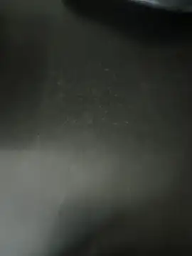 Anamika Kapoor online show from January 2026 06:23:01 PM