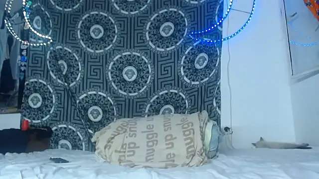 Adam hard  online show from November 2025 11:28:01 PM