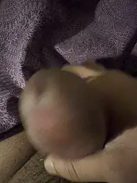 Snapshot of BigAddress0 chatting on February 2026 02:42:02 AM BigAddress0 online show from February 2026 02:42:02 AM