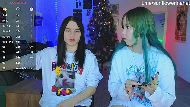 812sunflowerinahat online show from December 2024 09:50:02 AM