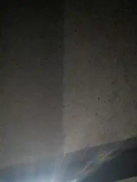 Leocesar37 online show from July 2026 11:57:01 AM