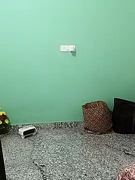 Snapshot of Saroj-Shah chatting on November 2025 03:08:02 PM Saroj-Shah online show from November 2025 03:08:02 PM