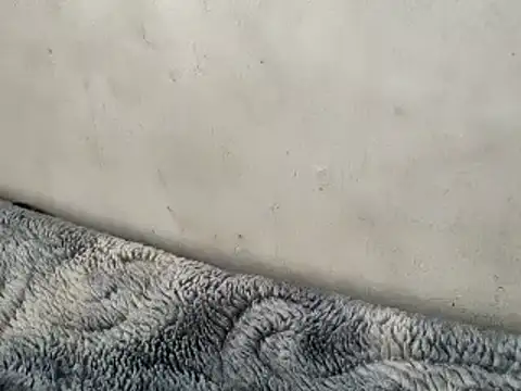 Snapshot of Bangaloreboy021 chatting on February 2025 05:12:02 AM Bangaloreboy021 online show from February 2025 05:12:02 AM