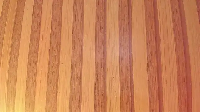 Taylor  cooper online show from February 2026 06:41:02 PM