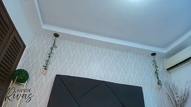 sandy rivas online show from January 2026 11:56:01 AM