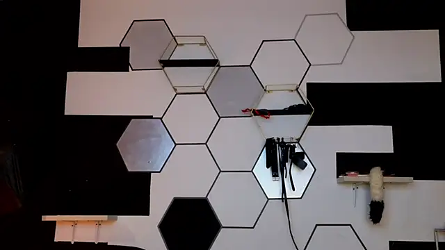 haileycat online show from February 2025 03:33:01 AM