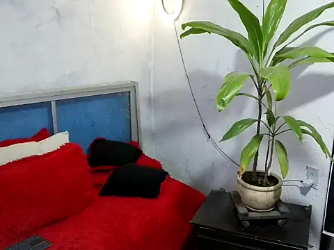 Snapshot of bellacrespalatina chatting on March 2026 05:05:02 PM bellacrespalatina online show from March 2026 05:05:02 PM