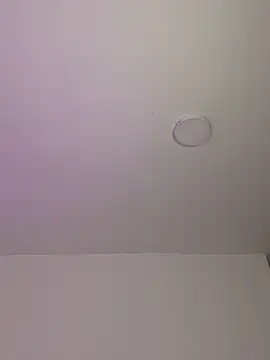 Eli818 online show from December 2024 04:21:01 AM