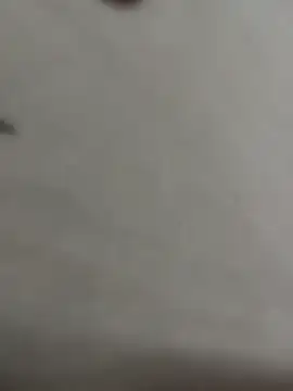 luara1988 online show from April 2026 01:11:01 AM