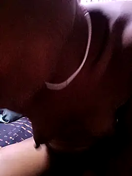 TastyAfrica online show from November 2025 02:52:02 PM