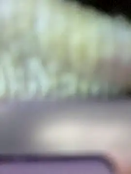 grace-3 online show from November 2025 04:33:02 AM