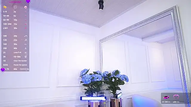 Snapshot of elasummer chatting on February 2025 09:09:01 PM elasummer online show from February 2025 09:09:01 PM