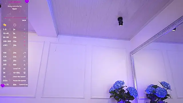 Snapshot of elasummer chatting on March 2025 11:49:02 AM elasummer online show from March 2025 11:49:02 AM