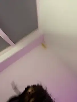 bonnie 18x online show from February 2025 05:31:02 AM