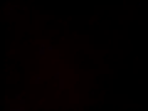 Snapshot of linksjack1010 chatting on February 2025 09:37:02 PM linksjack1010 online show from February 2025 09:37:02 PM