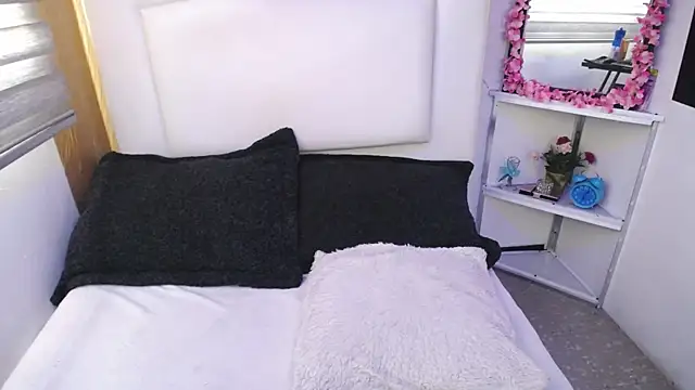 palmer mIix online show from January 2025 01:56:01 PM