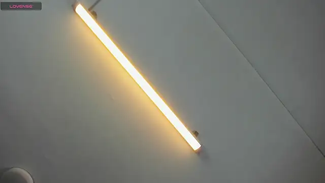 Brianrosex online show from November 2025 03:28:01 AM