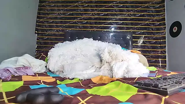 Snapshot of jeffblack2 chatting on April 2026 12:28:01 PM jeffblack2 online show from April 2026 12:28:01 PM