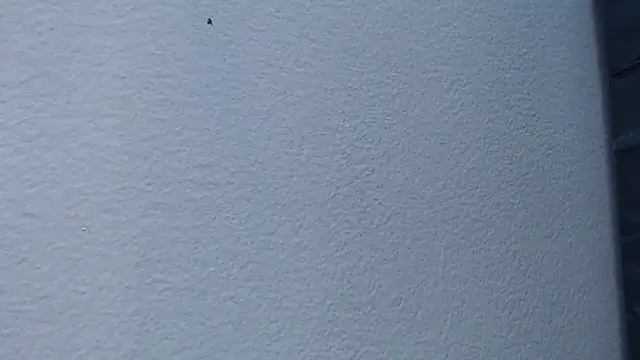 Hanna Fox 69 online show from February 2025 06:02:01 AM