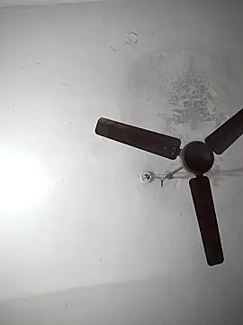 Snapshot of sana14 chatting on December 2025 07:04:02 AM sana14 online show from December 2025 07:04:02 AM