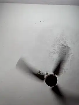 Snapshot of sana14 chatting on March 2026 06:23:02 PM sana14 online show from March 2026 06:23:02 PM