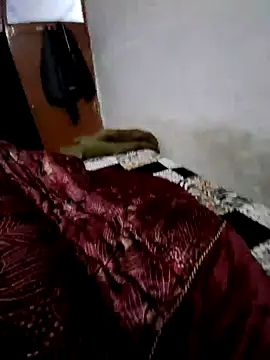 Snapshot of menakshiiikaur chatting on December 2024 02:16:02 PM menakshiiikaur online show from December 2024 02:16:02 PM