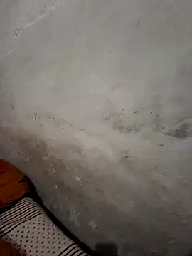 Snapshot of menakshiiikaur chatting on December 2024 01:40:02 PM menakshiiikaur online show from December 2024 01:40:02 PM