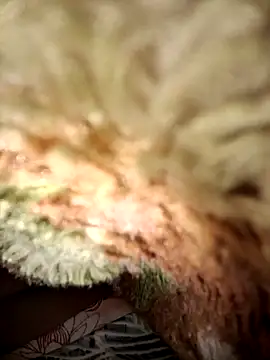 Snapshot of menakshiiikaur chatting on March 2025 10:43:02 PM menakshiiikaur online show from March 2025 10:43:02 PM