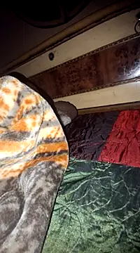 Snapshot of menakshiiikaur chatting on March 2025 05:35:02 PM menakshiiikaur online show from March 2025 05:35:02 PM