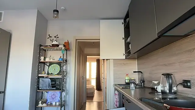 jainesummer online show from September 2025 07:12:02 AM