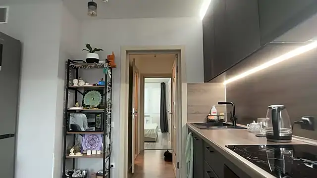 jainesummer online show from November 2025 09:32:01 AM