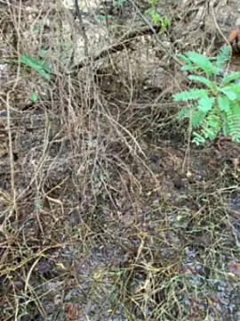 Snapshot of tamil000000 chatting on March 2025 01:27:02 AM tamil000000 online show from March 2025 01:27:02 AM