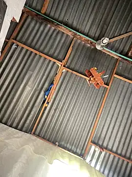 ElNegroRony online show from February 2025 07:10:02 PM