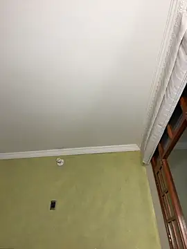 aurora divine online show from November 2025 10:52:02 PM