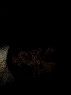 Snapshot of ruhi2003 chatting on December 2024 11:33:01 AM ruhi2003 online show from December 2024 11:33:01 AM